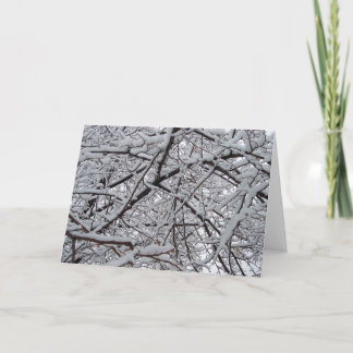 Snowy Branches Card