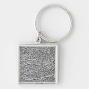 Snowy Branches Keychain