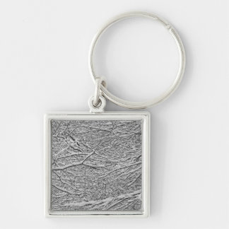 Snowy Branches Keychain