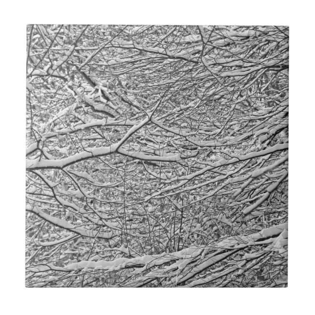 Snowy Branches Tile (Front)