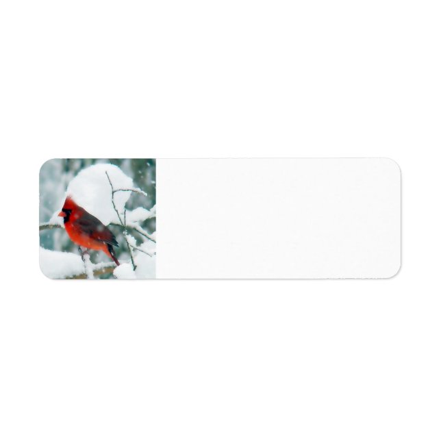 Snowy Cardinal (Front)