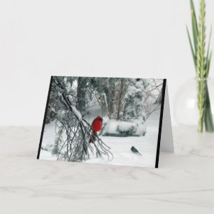Snowy Cardinal Christmas Card