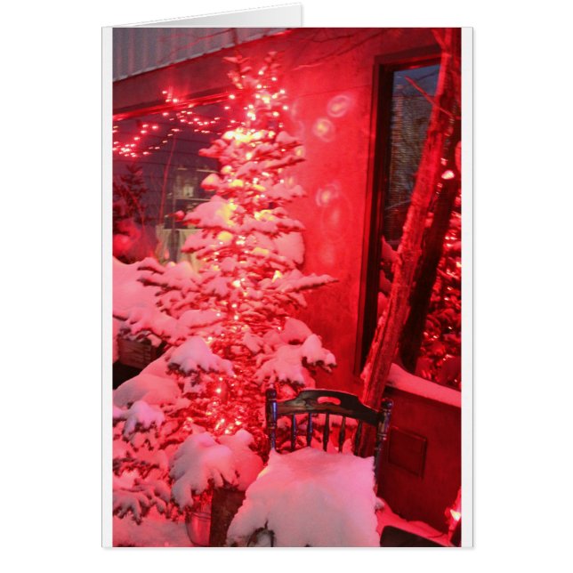 Snowy Christmas Tree Lights (Front)