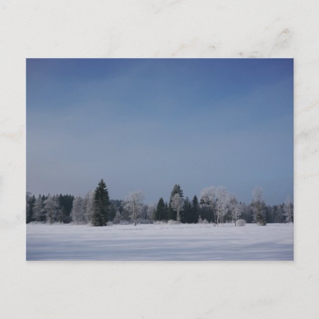 Snowy cold winter landscape 12 postcard (Front)