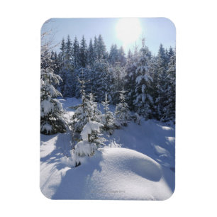 Snowy cold winter landscape 2 magnet