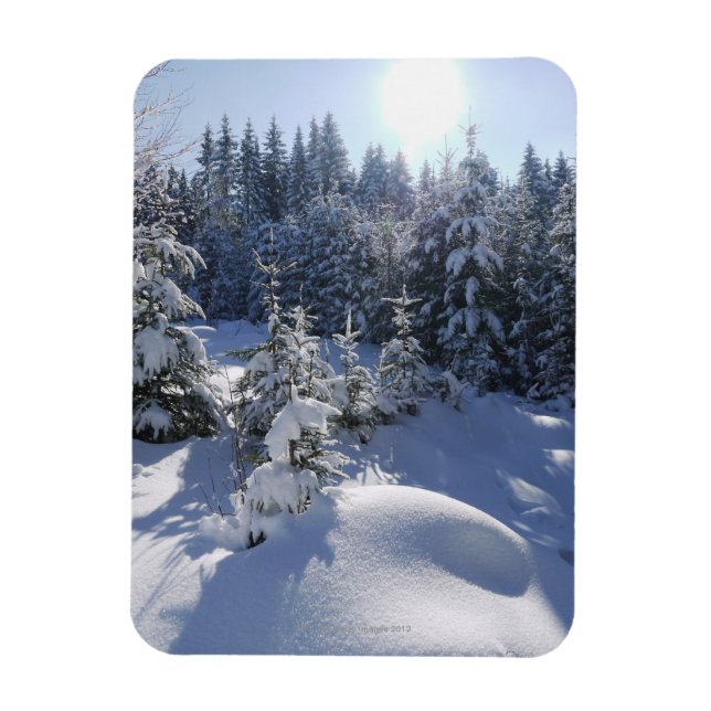 Snowy cold winter landscape 2 magnet (Vertical)