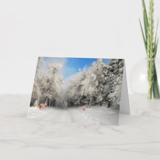 Snowy Country Road Christmas Card