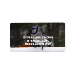 Snowy Day Blue Jay Address Labels