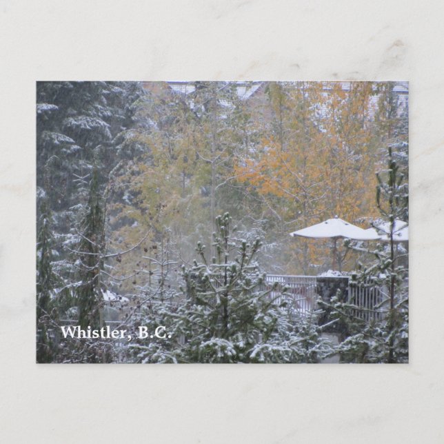 Snowy Day in Whistler B.C. Postcard (Front)