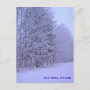 snowy dayz, Interlochen, Michigan Postcard