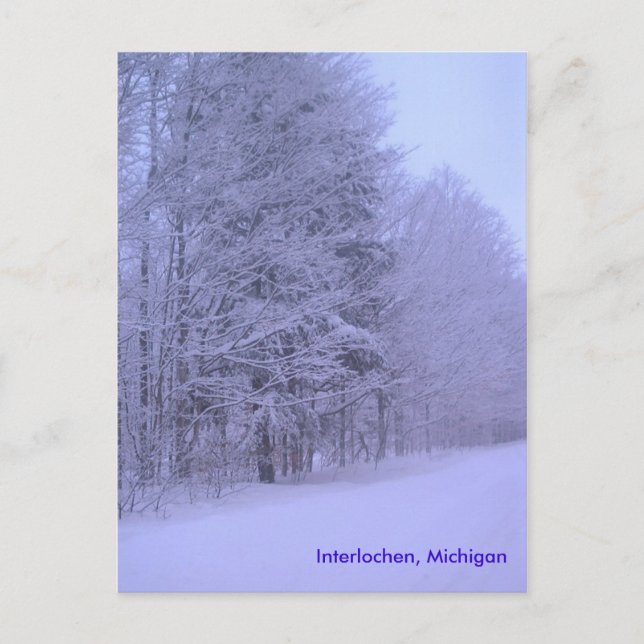 snowy dayz, Interlochen, Michigan Postcard (Front)