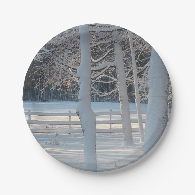 Snowy December Paper Plate (Front)