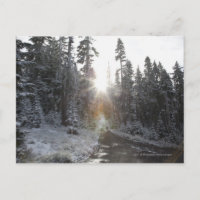 Snowy dirt road going into the sun