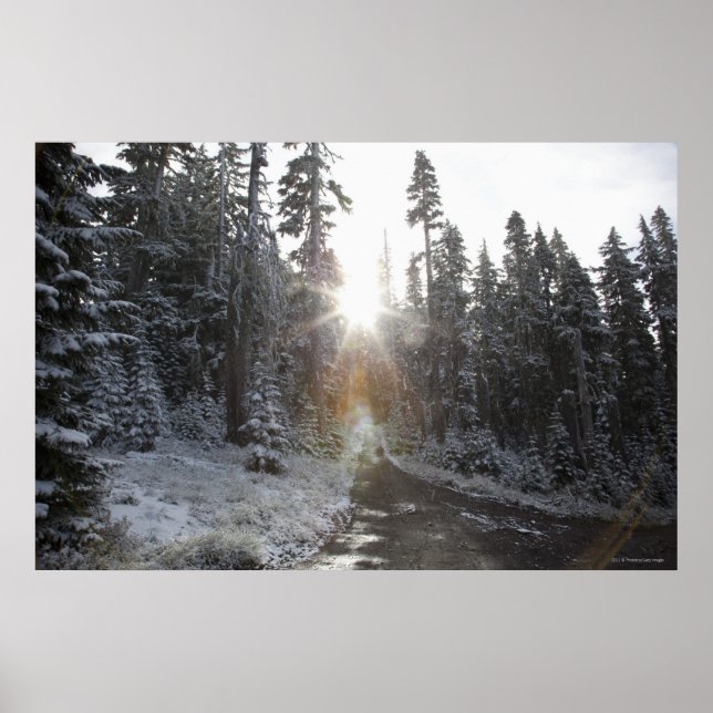 Snowy dirt road going into the sun poster (Front)