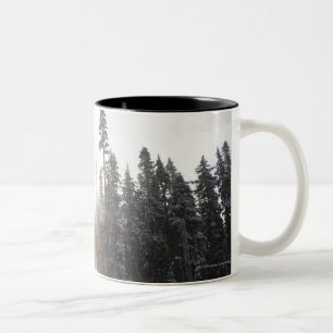 Snowy dirt road going into the sun Two-Tone coffee mug