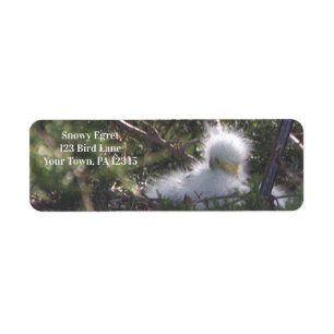 Snowy Egret Baby Bird Label