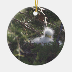 Snowy Egret Baby Bird Ornament