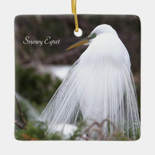 Snowy Egret Bird Ornament  (Front)