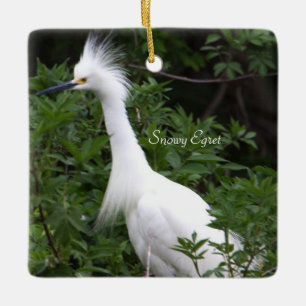Snowy Egret Bird Ornament 