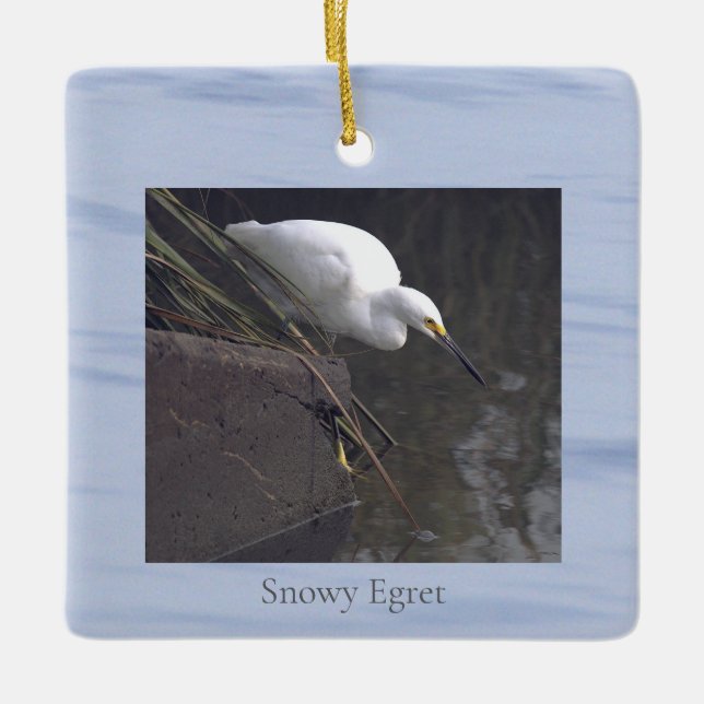 Snowy Egret Bird Photo Ornament  (Front)