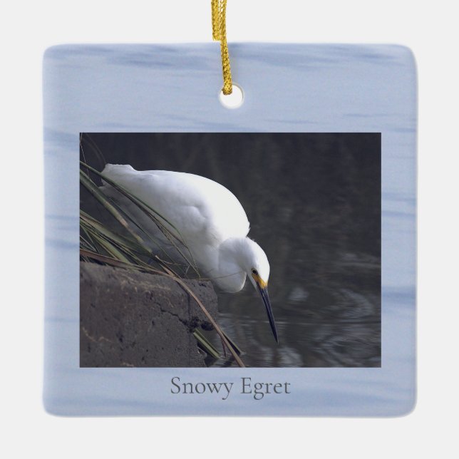 Snowy Egret Bird Photo Ornament  (Front)