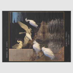 Snowy Egret Birds Wetlands Dawn Tissue Paper