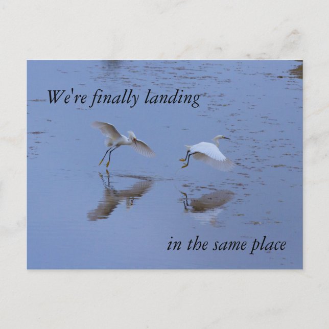 Snowy Egret Heron Moving in Together New Address Announcement Postcard (Front)