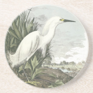 Snowy Egret, John Audubon Coaster