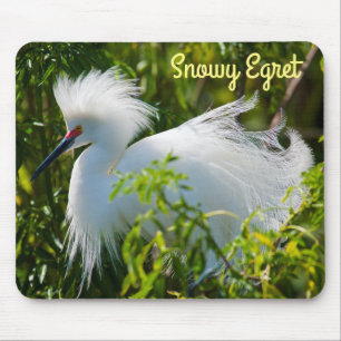 Snowy Egret Mouse Pad