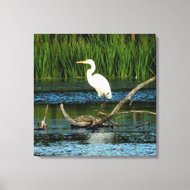 Snowy Egret on Log Canvas Print (Front)