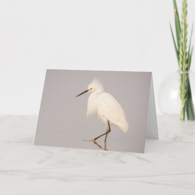 Snowy Egret Walking Greeting Card (Front)