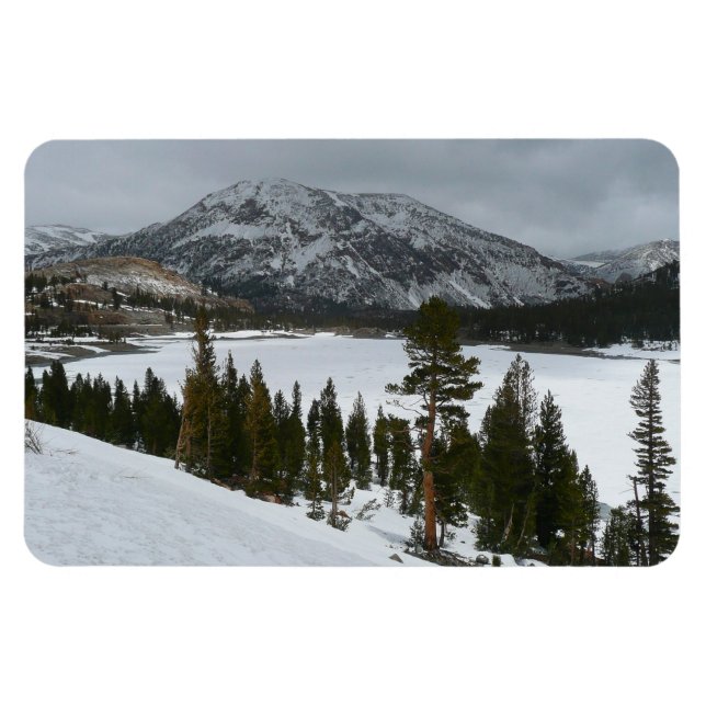 Snowy Ellery Lake California Winter Landscape Magnet (Horizontal)