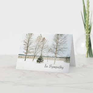snowy evergreen1card, In Sympathy Card