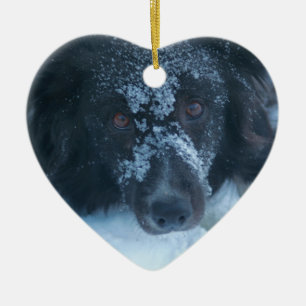 Snowy Faced Border Collie Dog Ornament