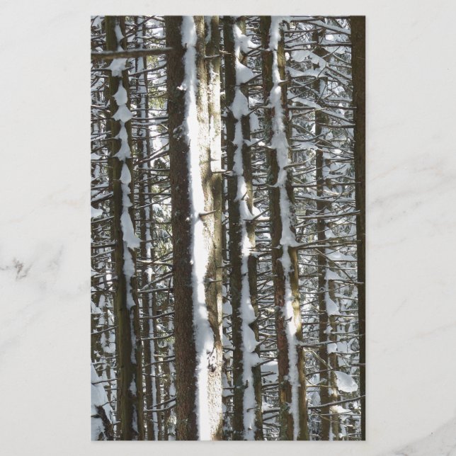 Snowy Fir Tree (Front)