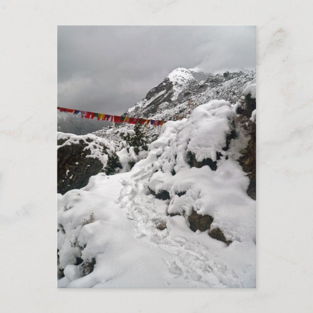 Snowy Footprints on Himalayan Mountain Path Postcard (Front)
