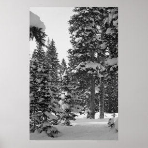 Snowy Forest Black and White Poster