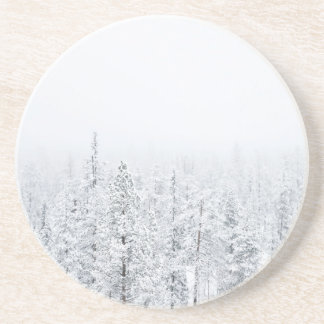 Snowy forest coaster