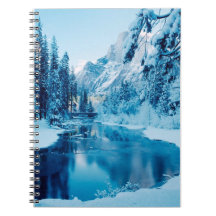 Snowy Forest