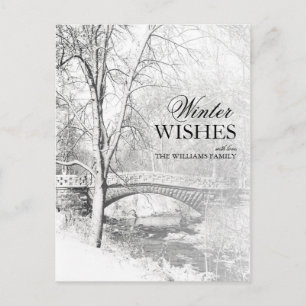 Snowy Garfield Park in Black and White Postcard