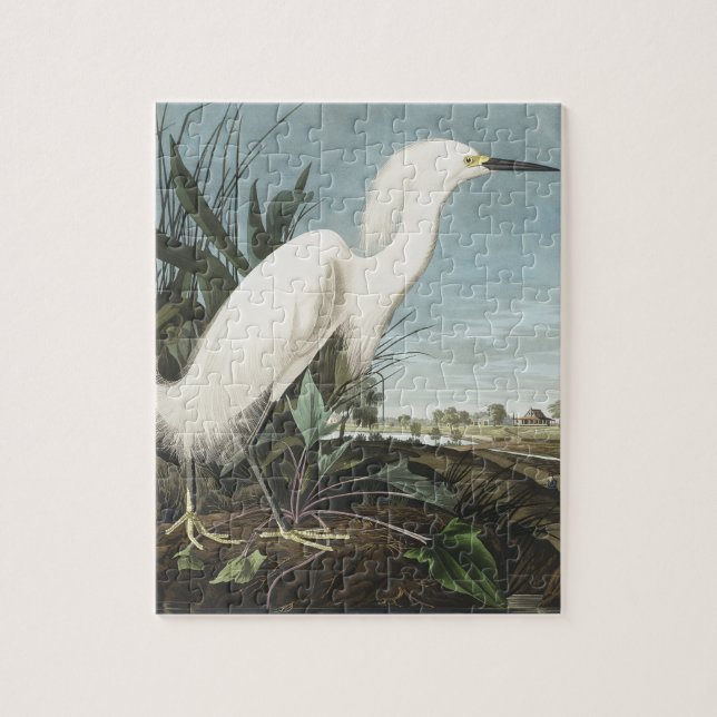 Snowy Heron or White Egret from Birds of America Jigsaw Puzzle (Vertical)