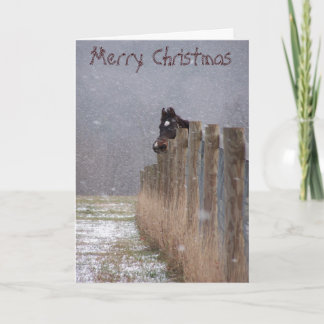 Snowy Horses, Merry Christmas Holiday Card