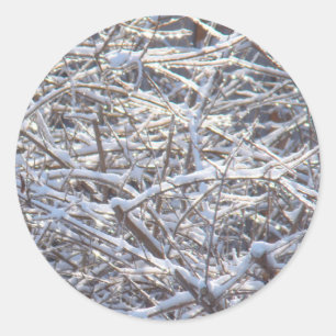 Snowy Ice Branches in Winter Classic Round Sticker