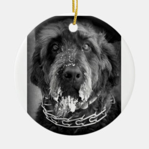 Snowy Labradoodle Ceramic Ornament