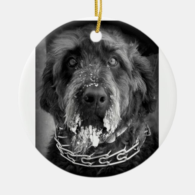 Snowy Labradoodle Ceramic Ornament (Front)