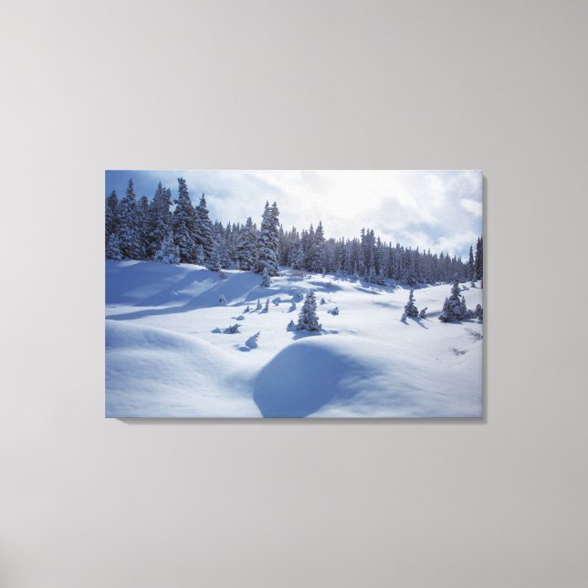 Snowy Landscape Canvas Print (Front)