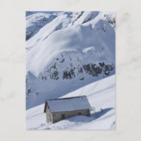 snowy landscape