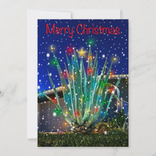 Snowy Majestic Agave sur carte de séjour plat