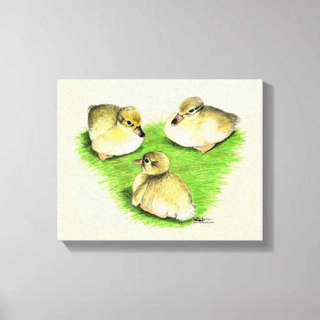 Snowy Mallard Ducklings Canvas Print (Front)