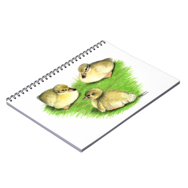Snowy Mallard Ducklings Notebook (Left Side)